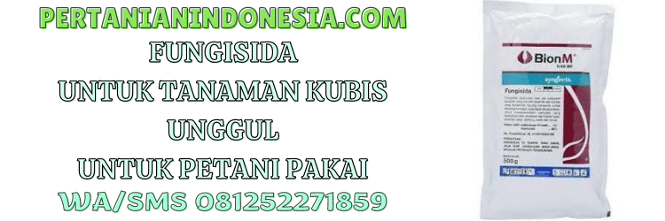 fungisida,unggul,untuk,tanaman,pestisida,petani